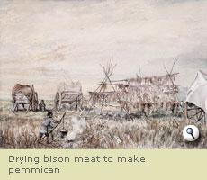 Drying bison meat to make pemmican