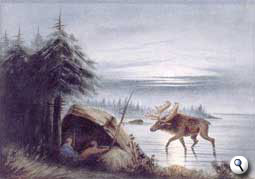 Hunting moose