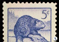 The beaver on a five cent Canadian stamp