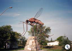 Statue d'un moustique. ils sont Ã©normes au Canada!